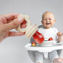 Porta Frutinha Chupeta De Alimentação Silicone Bebê Infantil